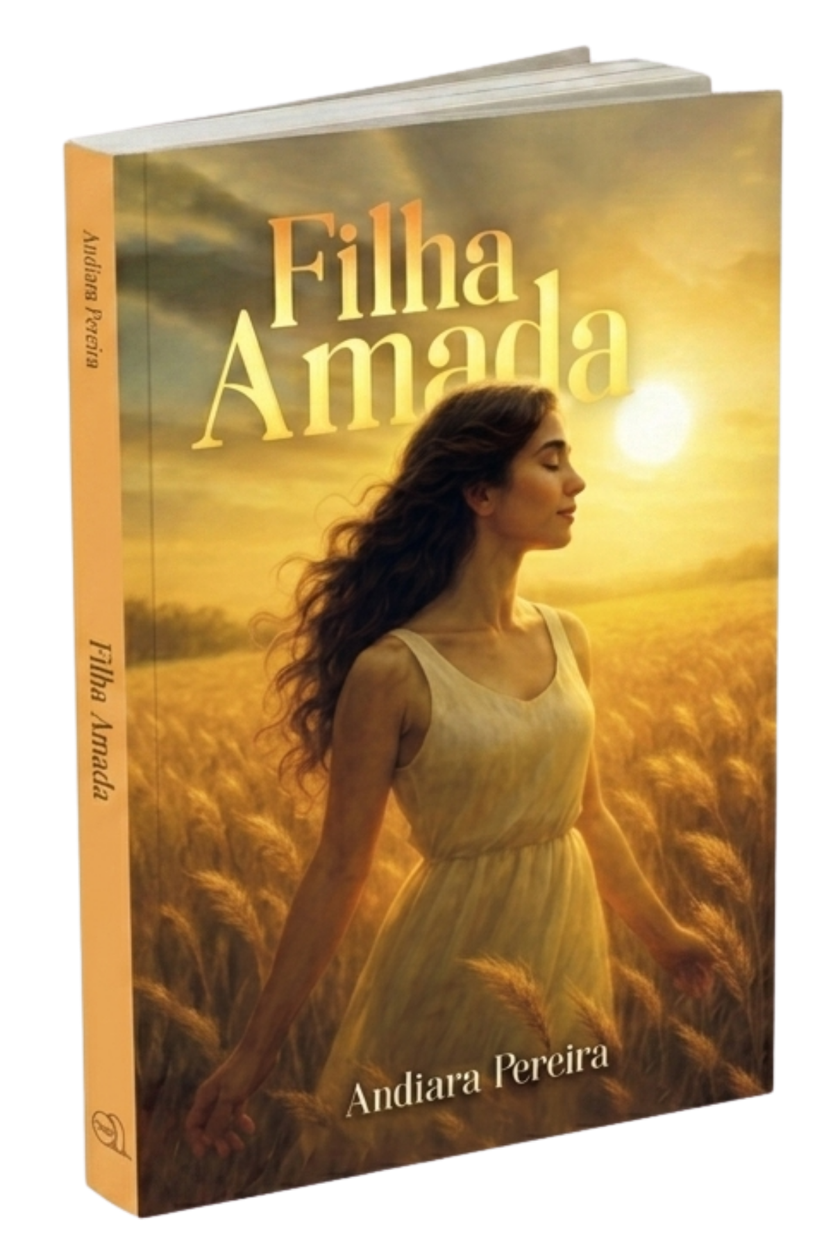 Livro Filha Amada, de Andiara Pereira